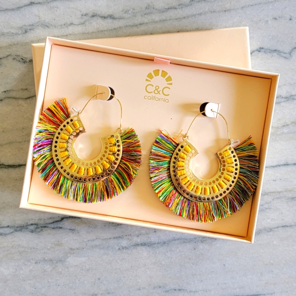 Large Statement Earrings 🦚